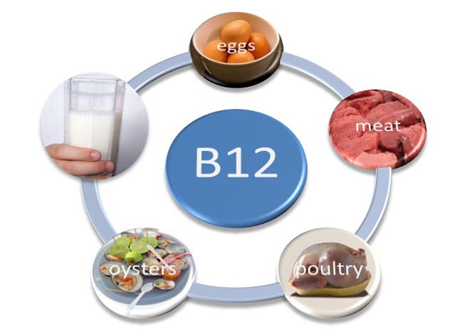 Vitamin B12 haqida faktlar