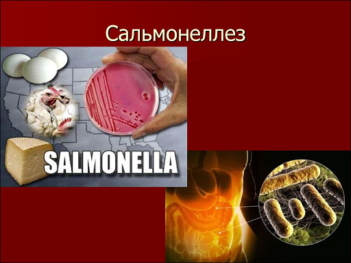Salmonellyoz kasalligi kelib chiqishi va davolash