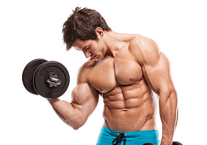 Testosteron — kuch-quvvat gormoni