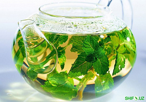 Yalpizli ichimlik